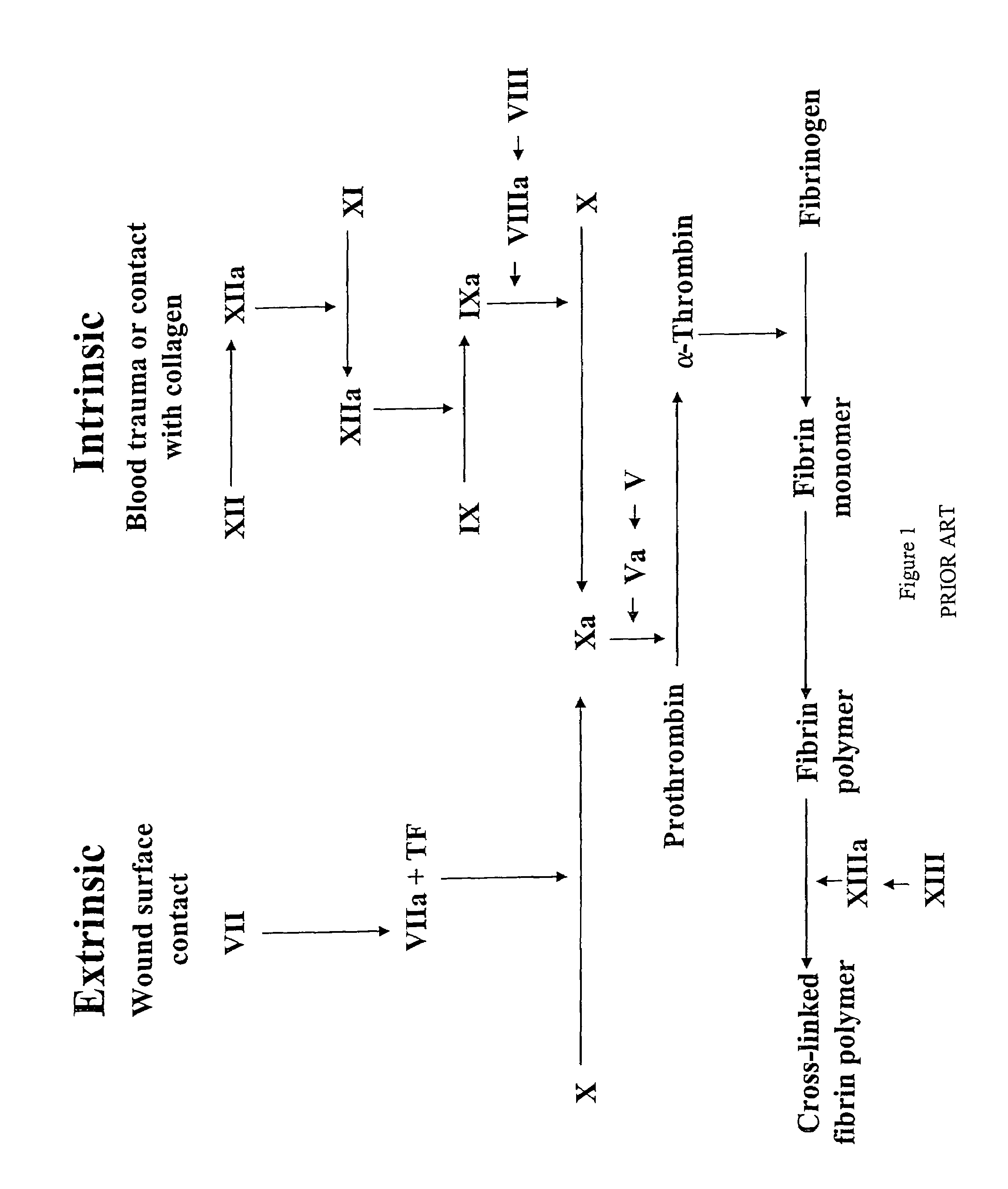 Thrombin generation inhibitors