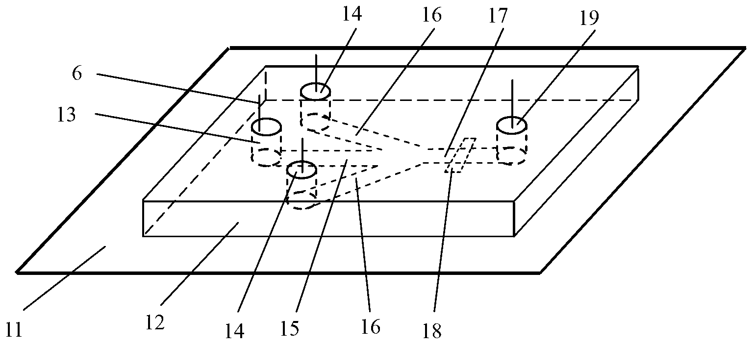 Microalgae activity detection method and device in ship ballast water