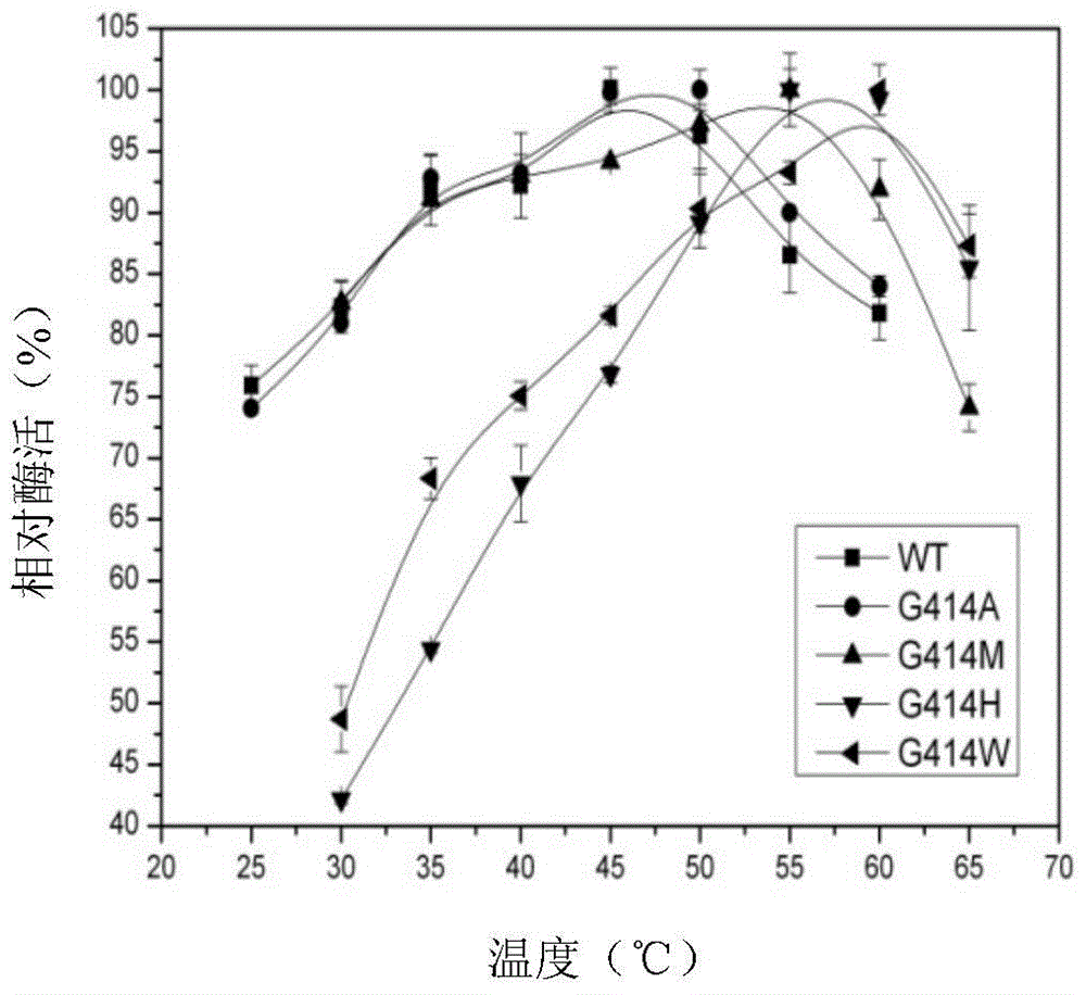 Candida rugosa lipase 1 mutant and its gene