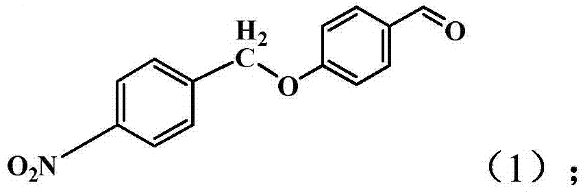 Method for treating titanium dioxide nanotubes with curcumin derivatives