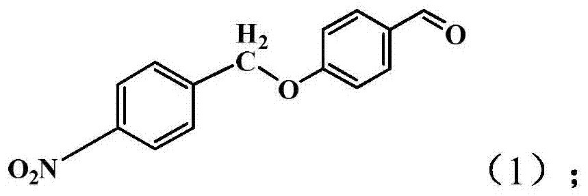 Method for treating titanium dioxide nanotubes with curcumin derivatives