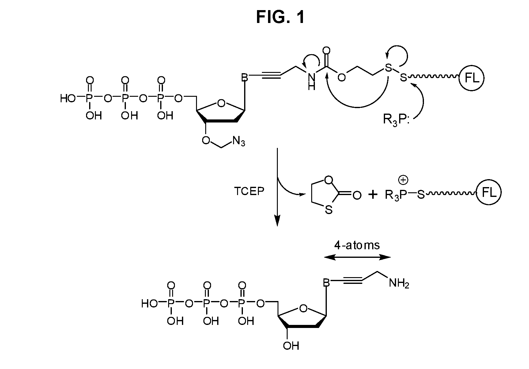 Disulfide-linked reversible terminators