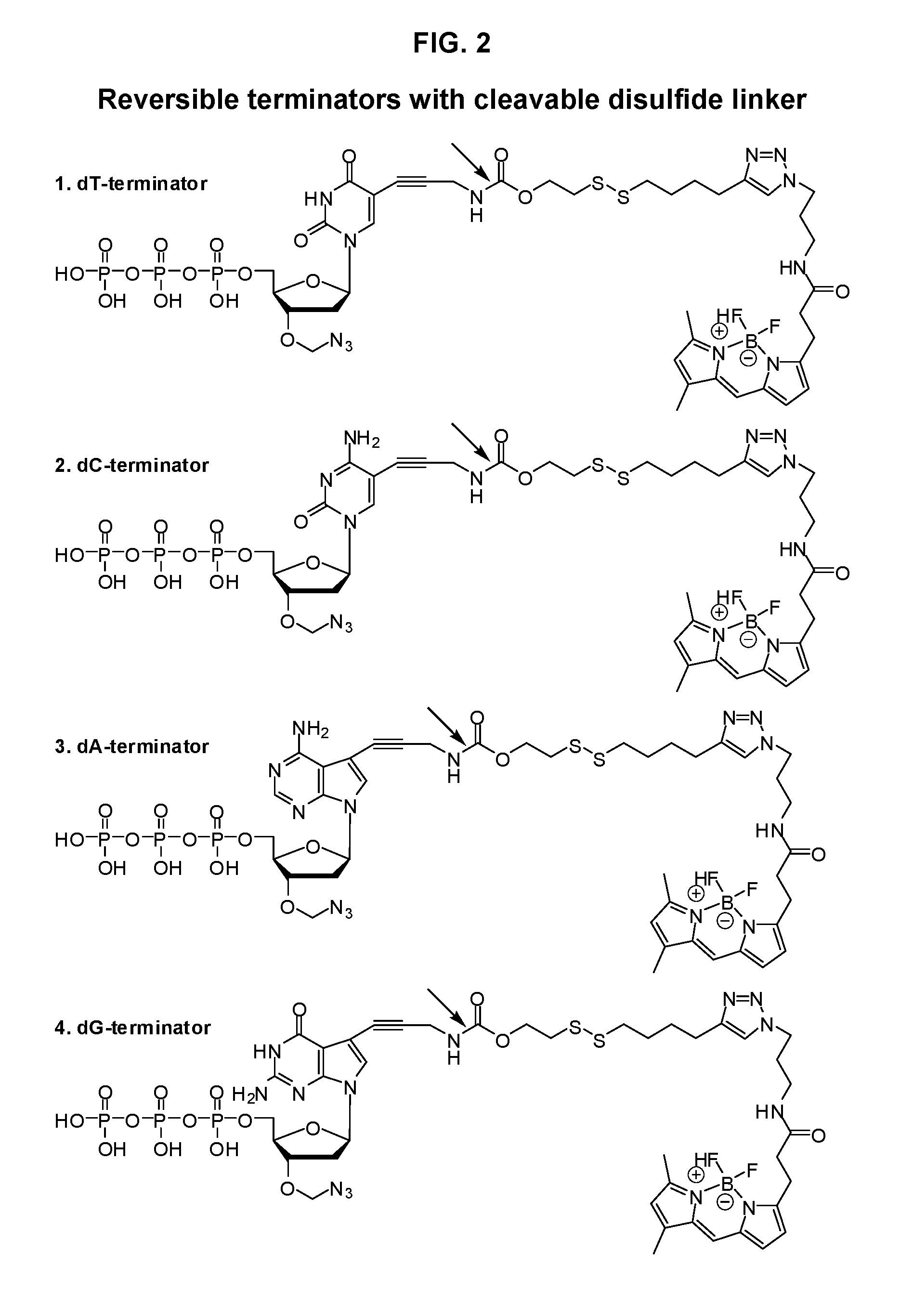 Disulfide-linked reversible terminators