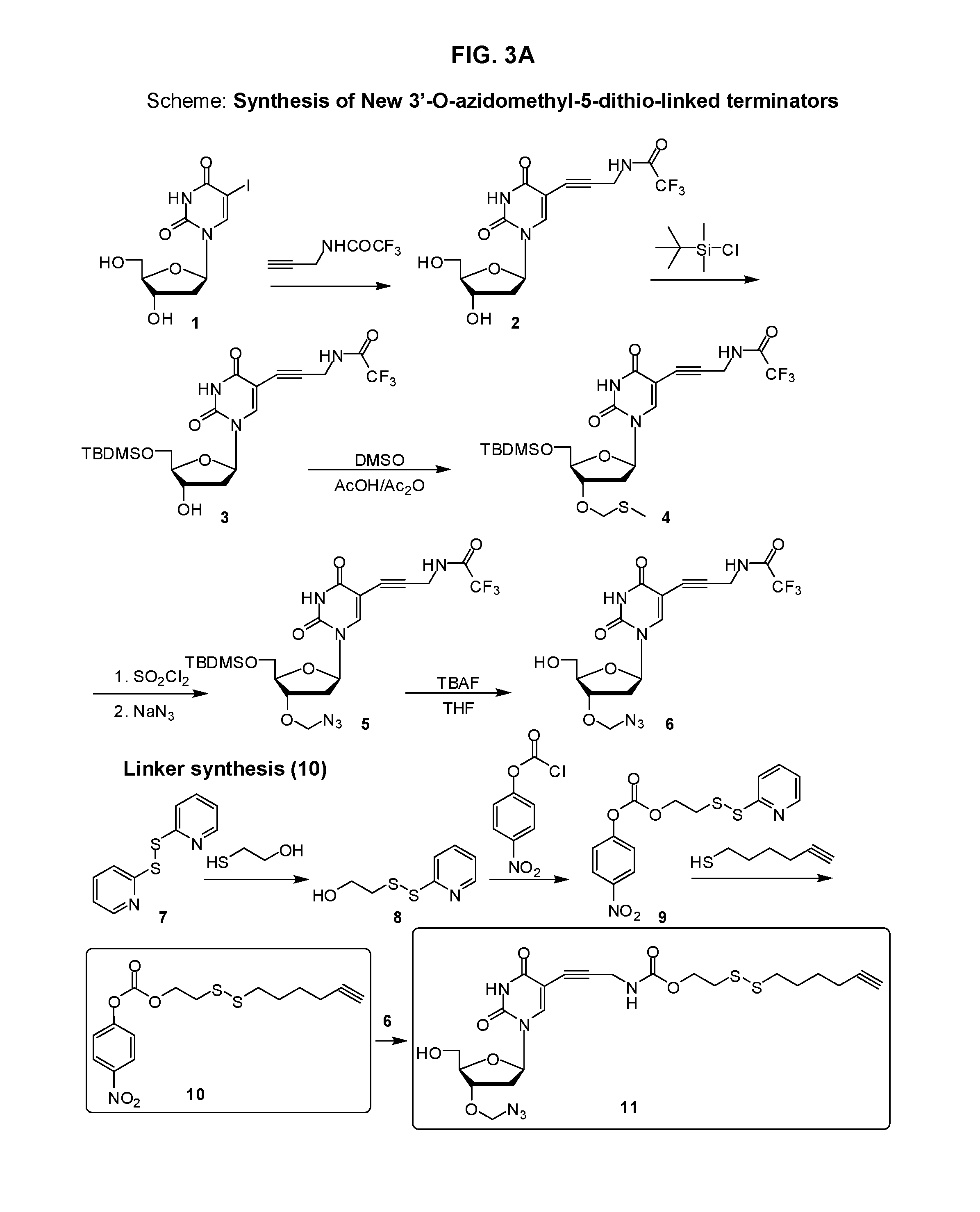 Disulfide-linked reversible terminators