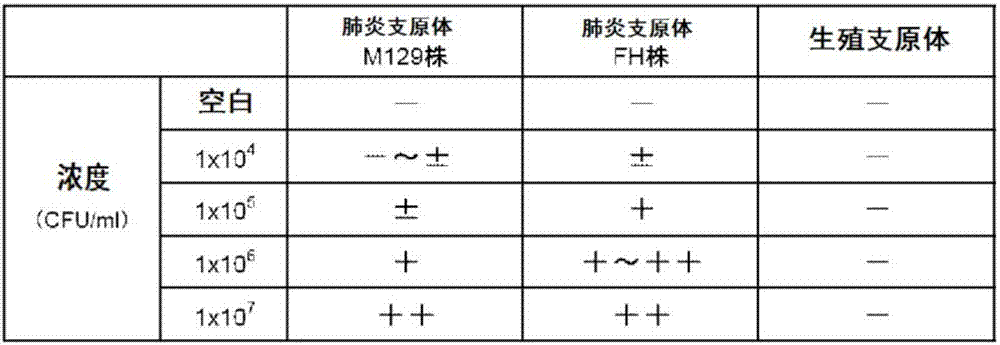 Immunological detection method and kit for mycoplasma pneumoniae