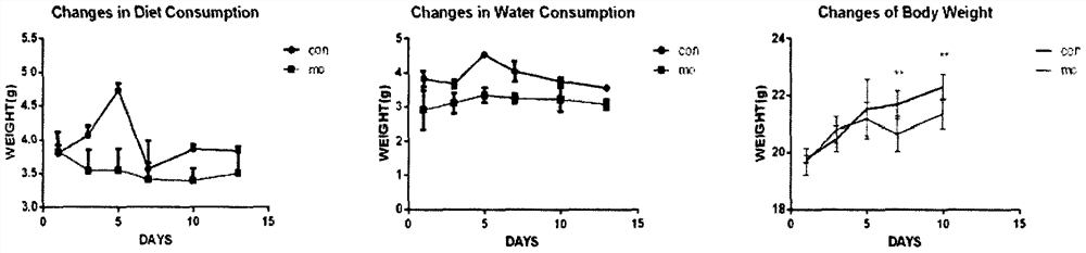 Construction method of combined animal model of blood stasis, phlegm coagulation syndrome and laryngeal cancer syndrome