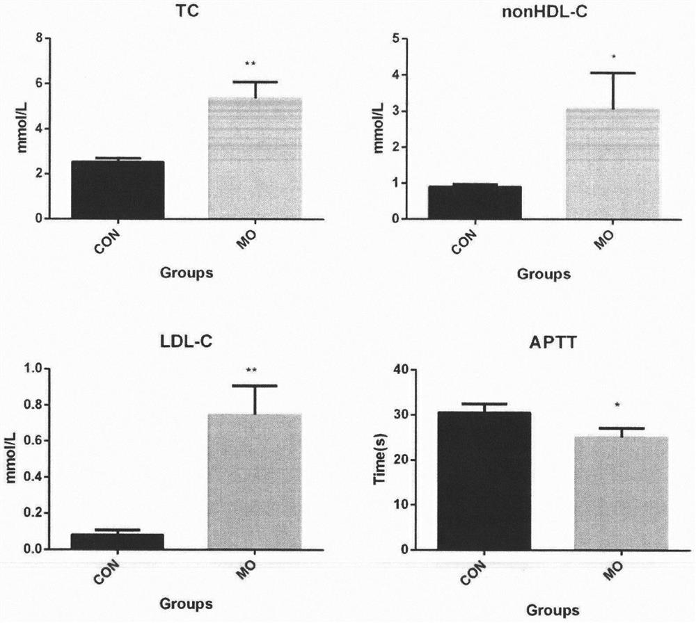 Construction method of combined animal model of blood stasis, phlegm coagulation syndrome and laryngeal cancer syndrome