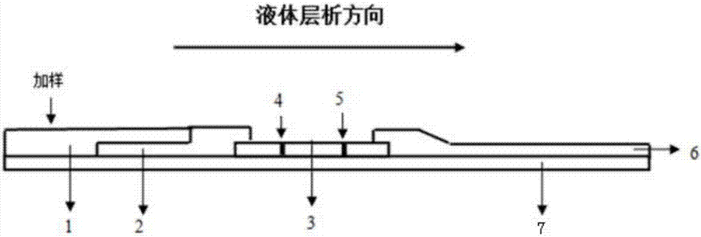 Colloidal gold immunochromatography test strip used for detecting human NGAL, kit, and preparation method of colloidal gold immunochromatography test strip and kit