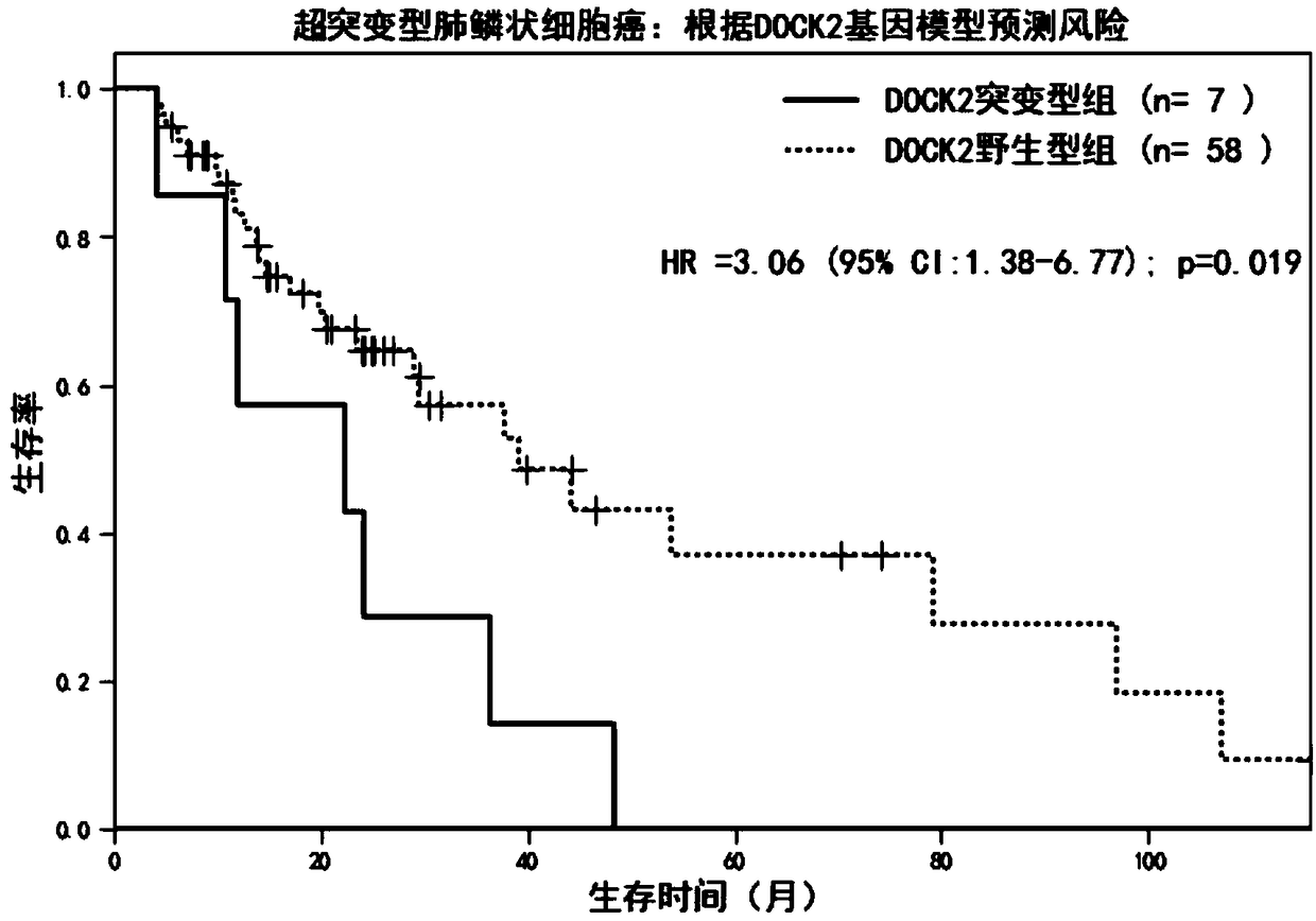 Super-mutant type tumor molecule subtype gene and application thereof