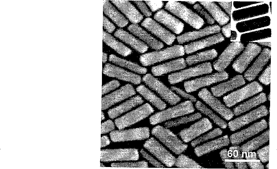 Bimetal nano rod of branched gold core/platinum shell structure and preparation method thereof