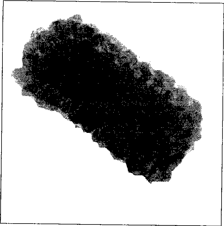 Bimetal nano rod of branched gold core/platinum shell structure and preparation method thereof