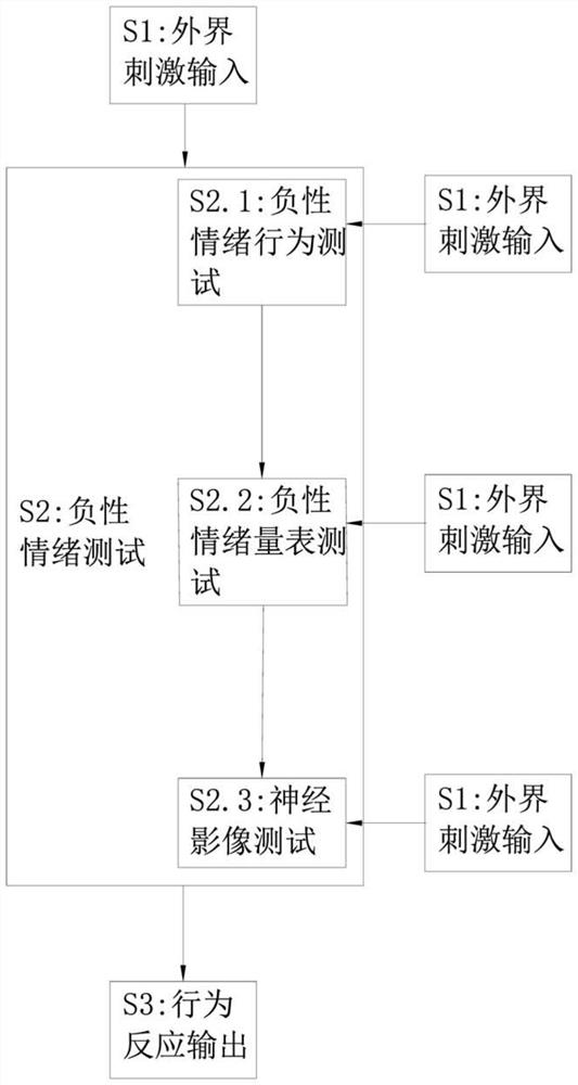 Psychophysical physical test method and equipment for negative emotion of drug addiction patient and medium