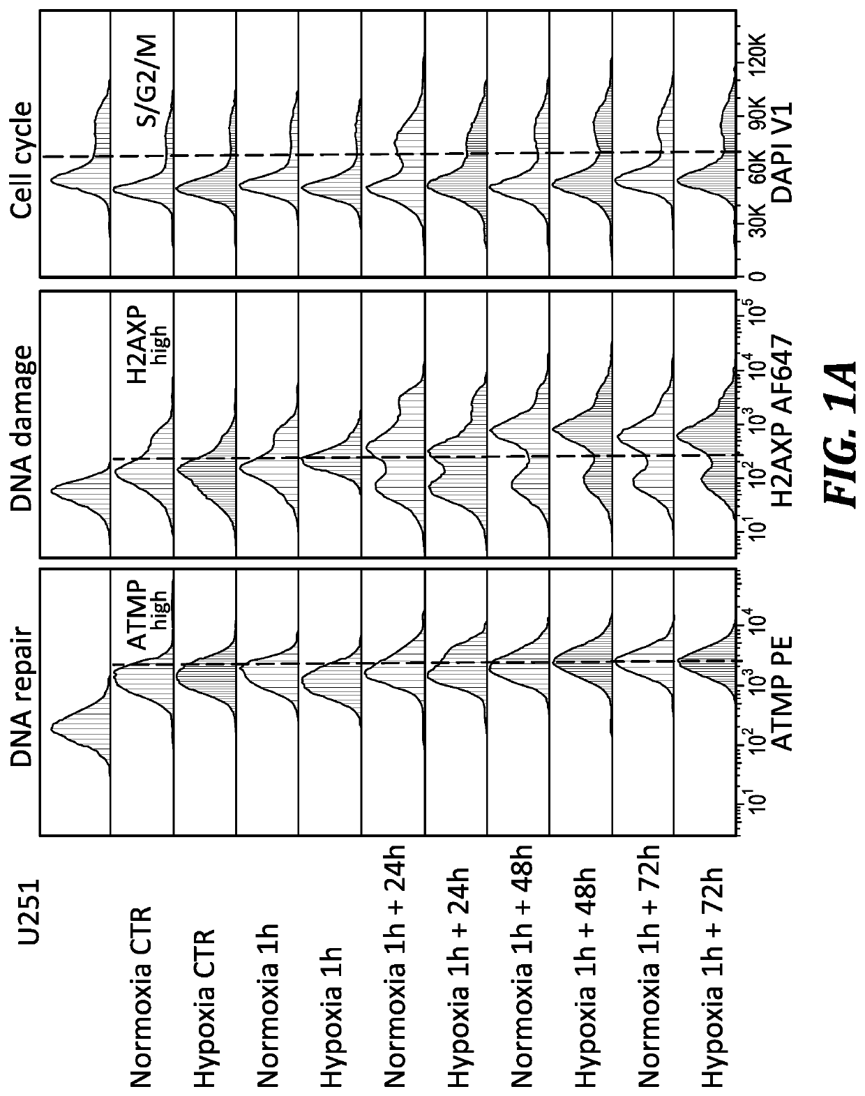 Use of dianhydrogalactitol or analogs and derivatives in combination with VEGF inhibitors to treat cancer