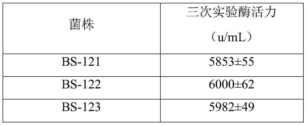 Bacillus subtilis of high-yield mesophilic alpha-amylase and liquid fermentation method for bacillus subtilis