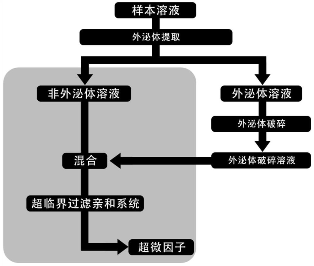 Supercritical filtration affinity adsorption system, construction method thereof, ultramicro factor preparation method and application