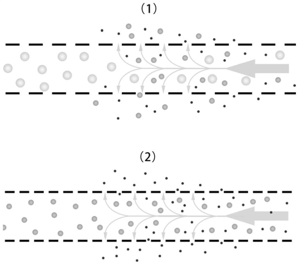 Supercritical filtration affinity adsorption system, construction method thereof, ultramicro factor preparation method and application