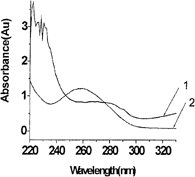 Method for purifying DNA by using gold magnetism particles