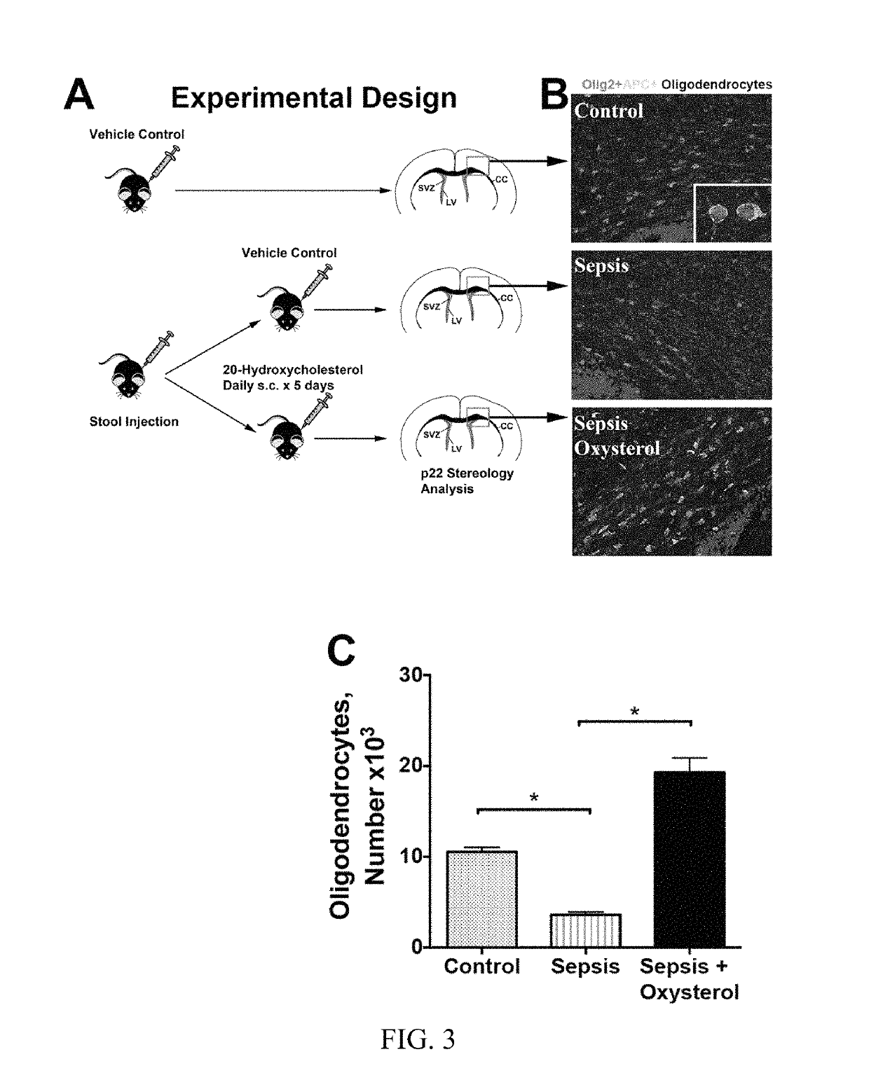 Compositions and methods for the repair of myelin