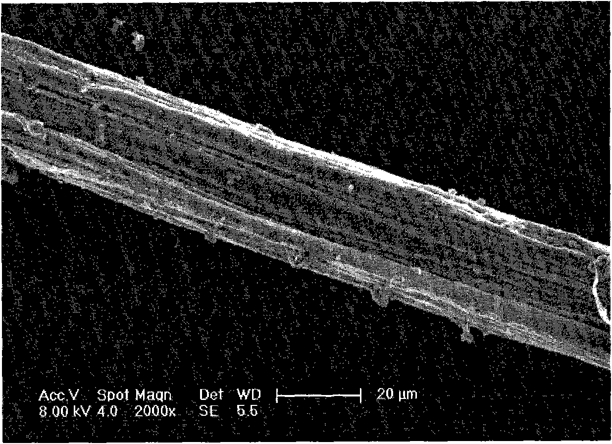 Method for continuously synthesizing single-wall carbon nano tube by high temperature chemical vapor deposition method