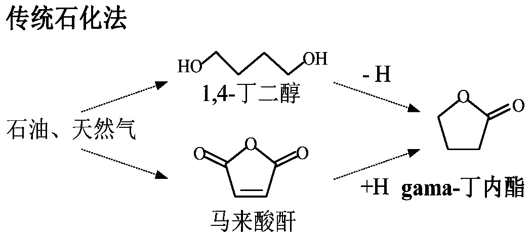 A kind of method using furfural as raw material to prepare gamma-butyrolactone