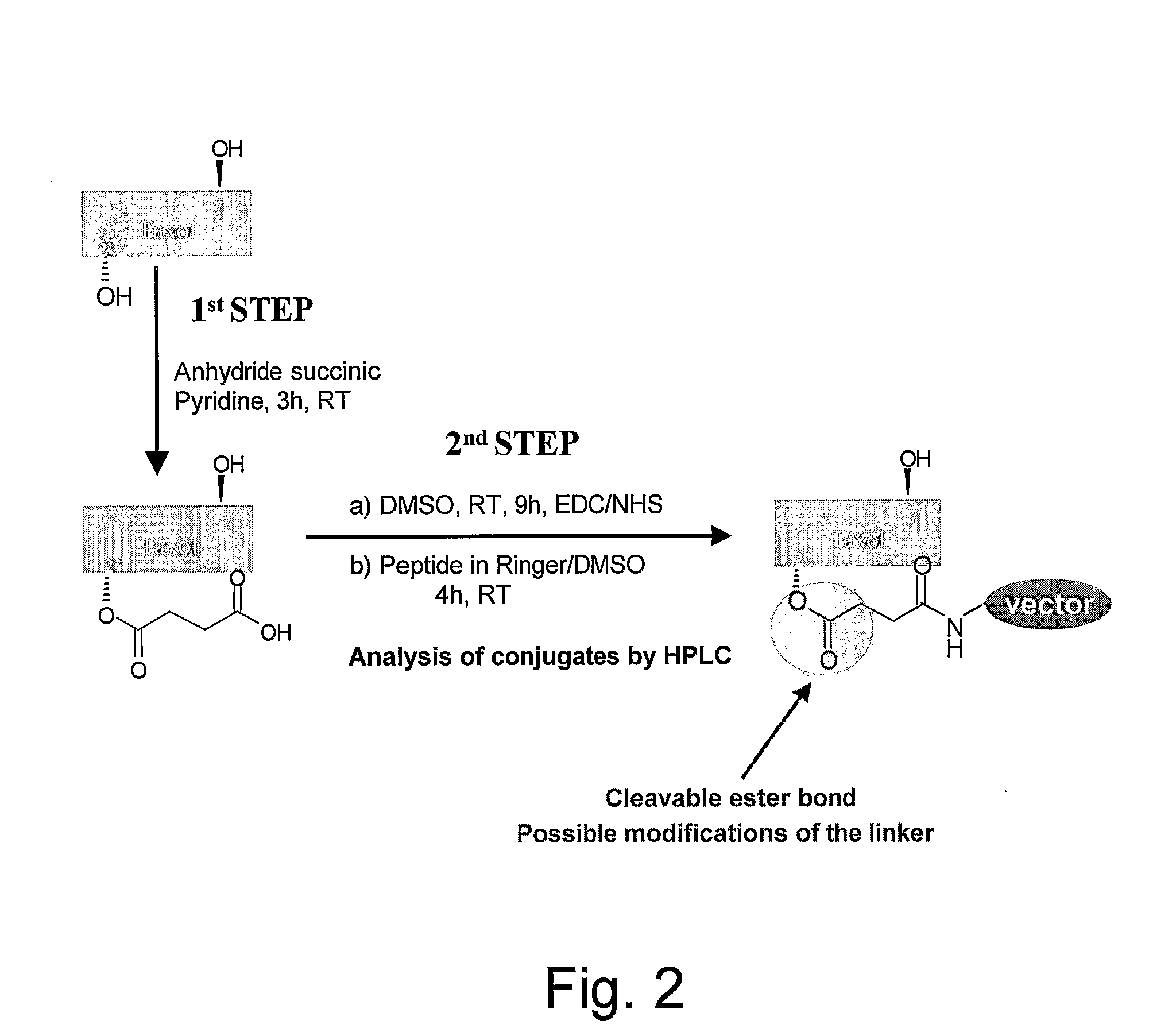 Aprotinin Polypeptides for Transporting a Compound Across the Blood-Brain Barrier