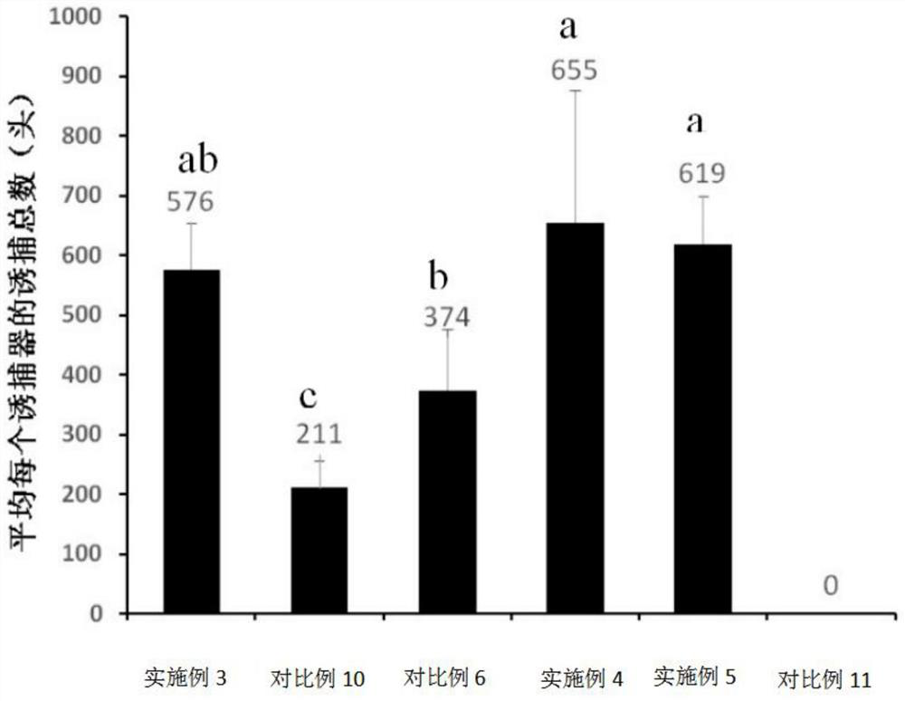 The application, attractant, lure and application of s-(-)-Brutenol in attracting the bark beetle in Tianshan Mountains