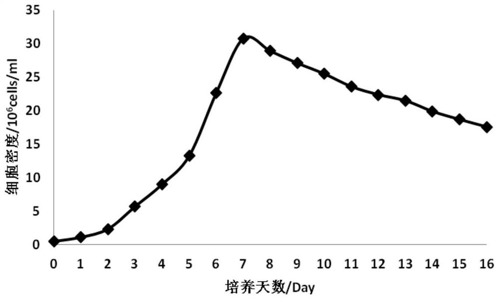 Culture technology of mammalian cells capable of efficiently expressing recombinant cat interferon [omega]2