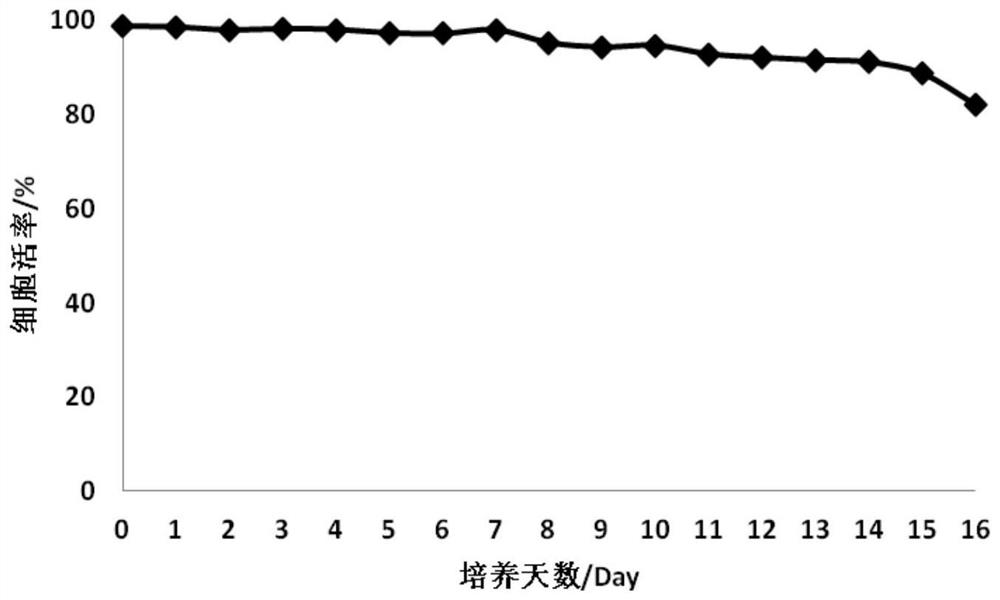 Culture technology of mammalian cells capable of efficiently expressing recombinant cat interferon [omega]2