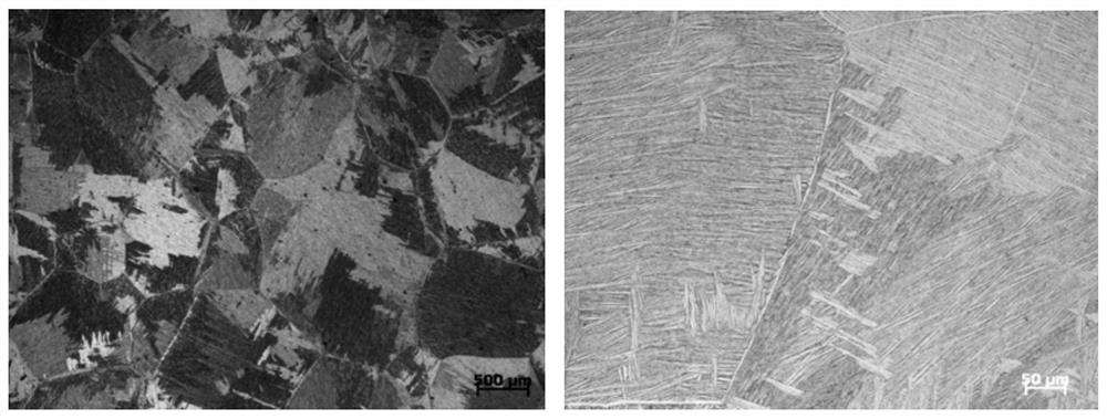 A β-annealing heat treatment method for ti6al4v alloy forgings