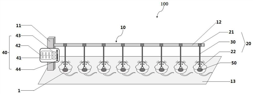 Multichannel small animal ultrasonic stimulation device