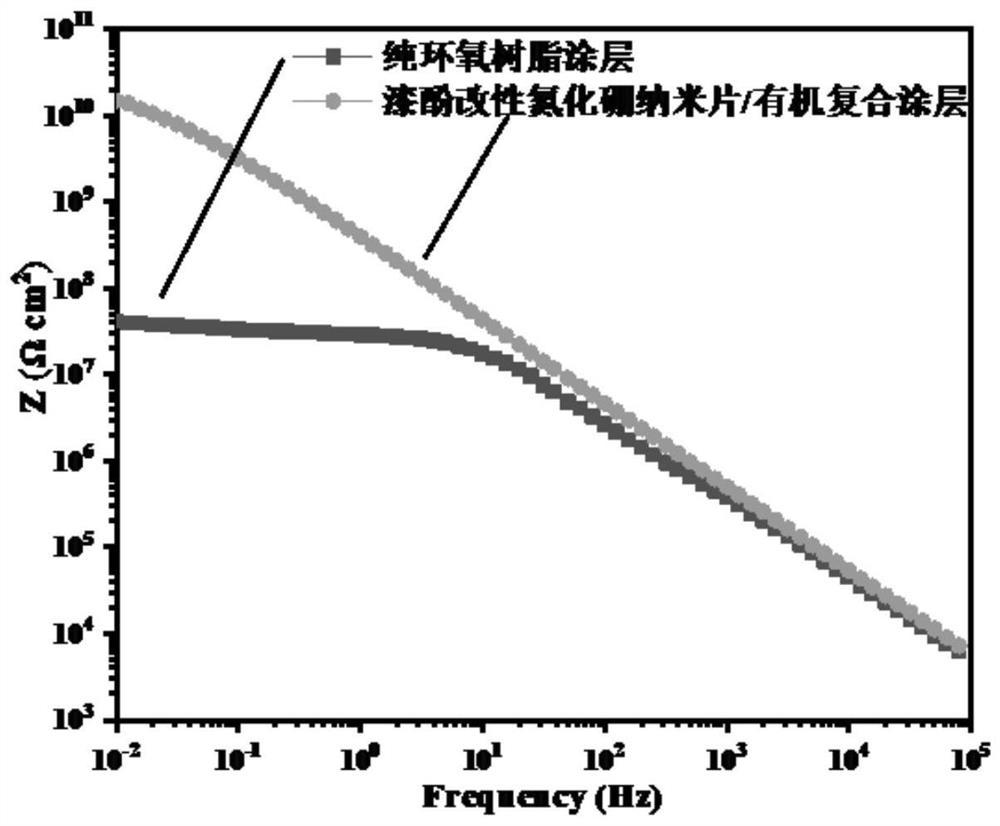 Nanosheet composite coating as well as preparation method and application thereof