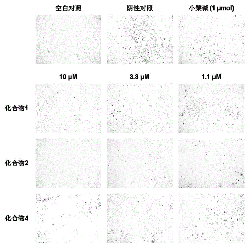 Anti-diabetic drug containing wild chrysanthemum flower extract