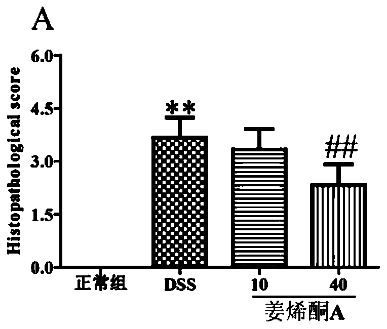 Application of shogfeelerica online A in preparation of drug for preventing and treating colitis