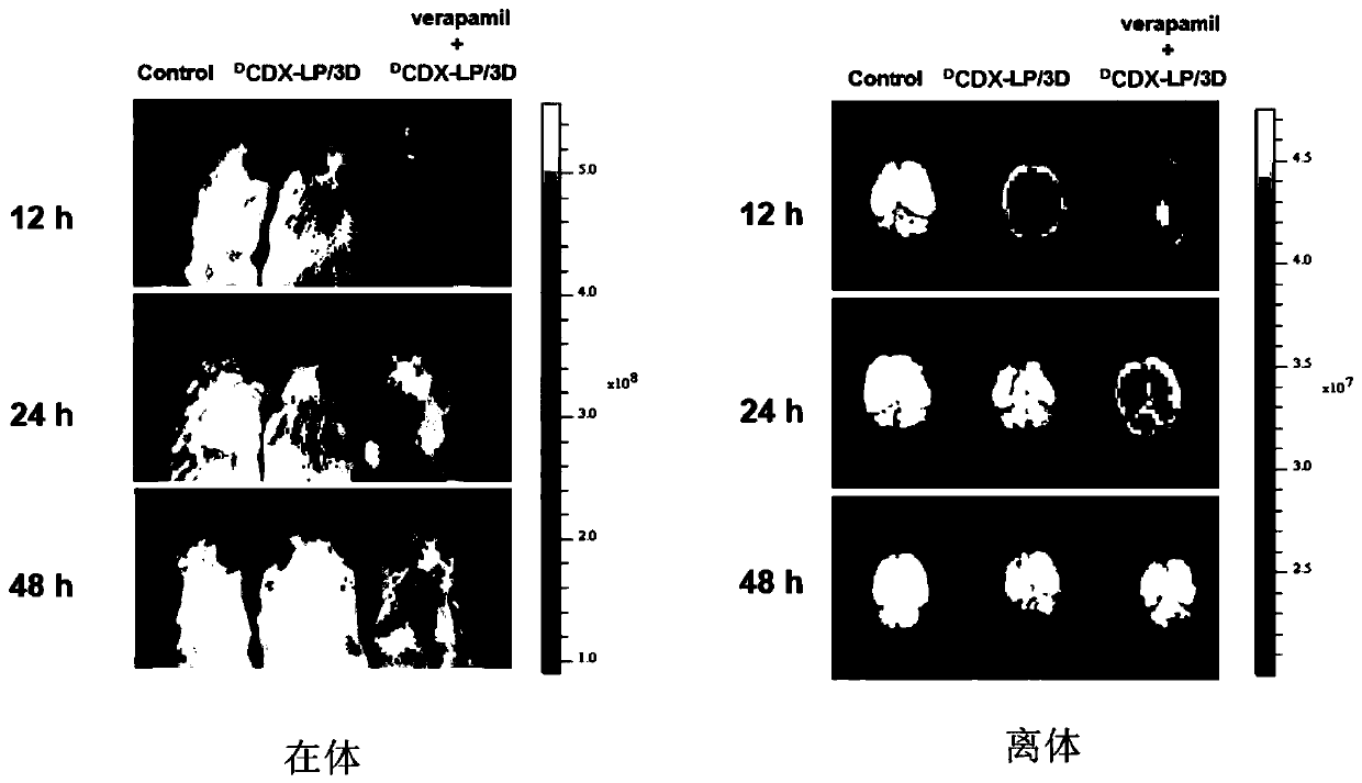 Application of P-glycoprotein inhibitors in drug delivery system modified by DCDX