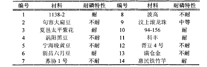 Molecular marking method of soybean low phosphorus-resistant gene GmAPt