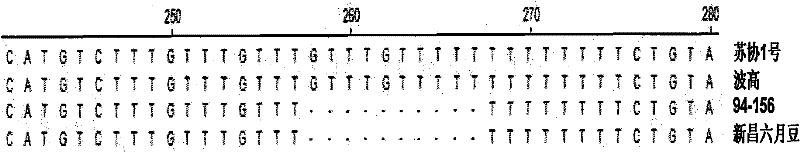 Molecular marking method of soybean low phosphorus-resistant gene GmAPt