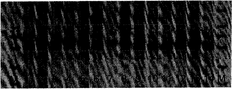 Molecular marking method of soybean low phosphorus-resistant gene GmAPt