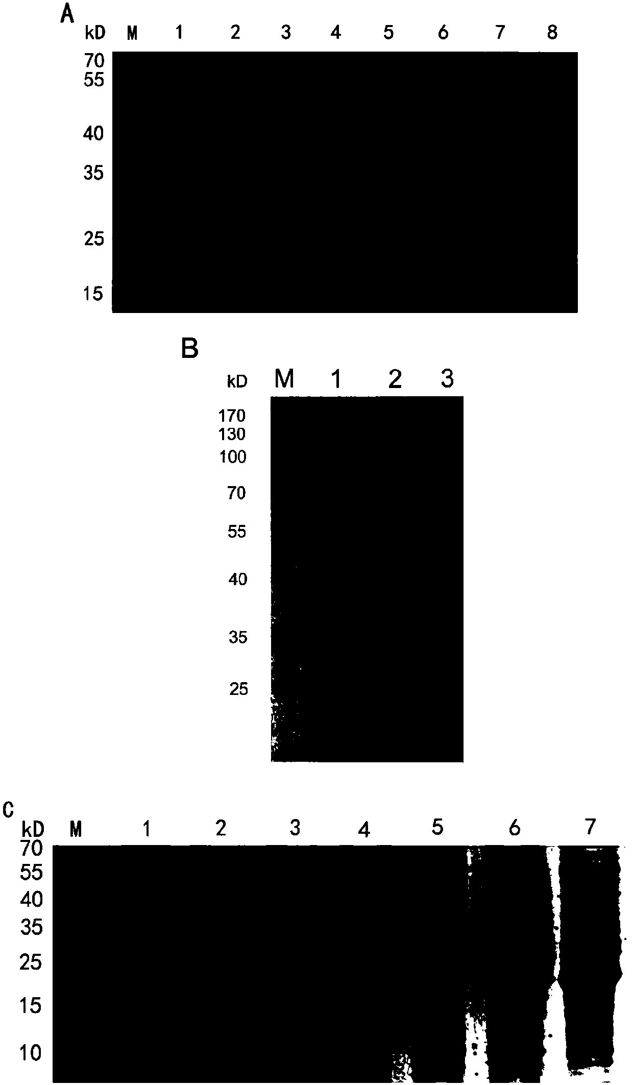 Preparation method and use of soluble type-I duck hepatitis virus 3C protein