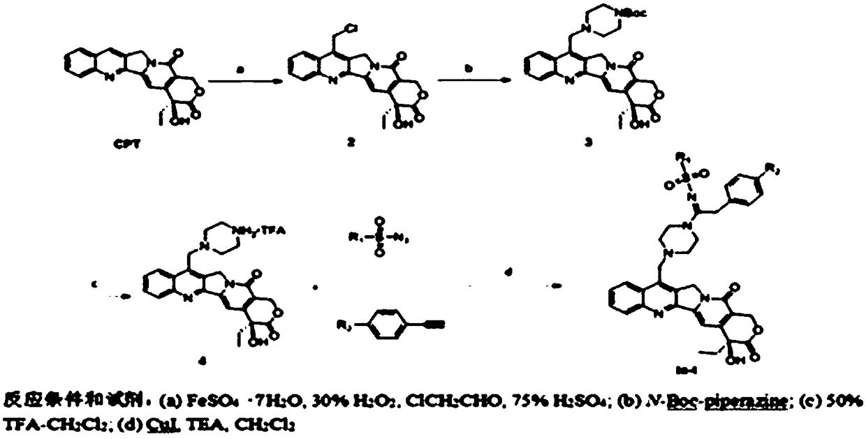 Camptothecin sulfonyl amidine compound and preparation method and use thereof