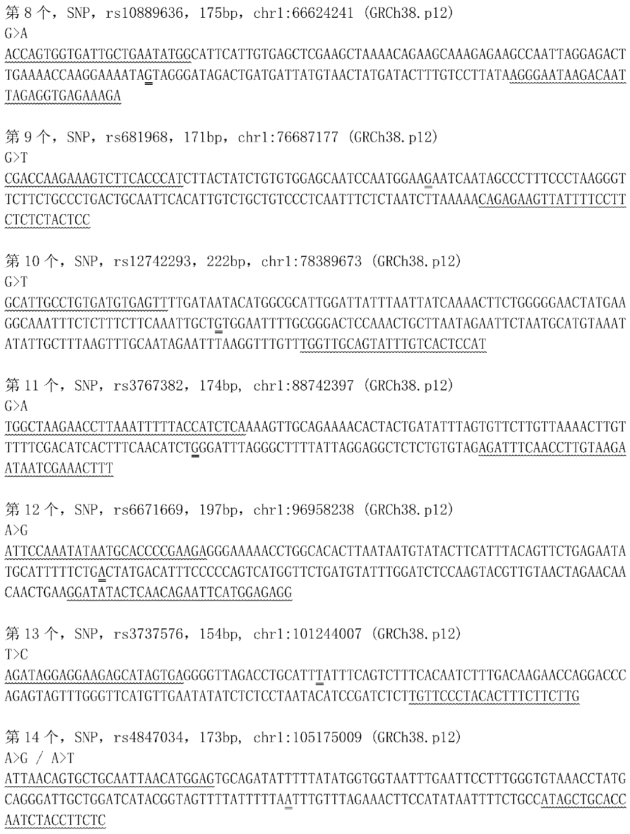 Primer combination for detecting 617 SNPs and InDel and application of primer combination in forensic identification and genetic relationship identification