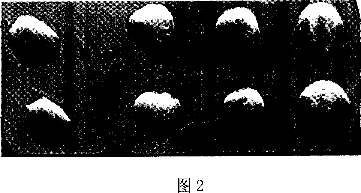 Silver-free tin-bismuth-copper leadless solder and preparation method