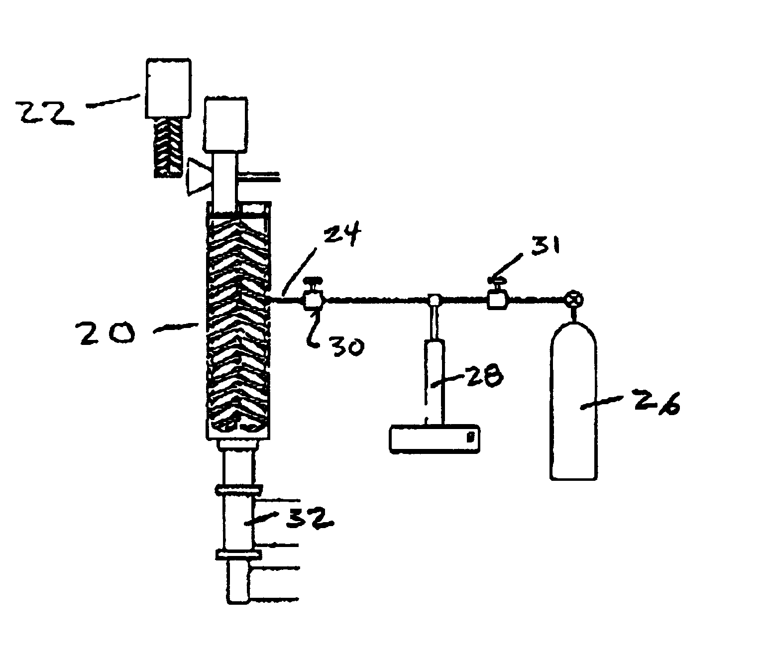 Plastic wood fiber foam structure and method of producing same