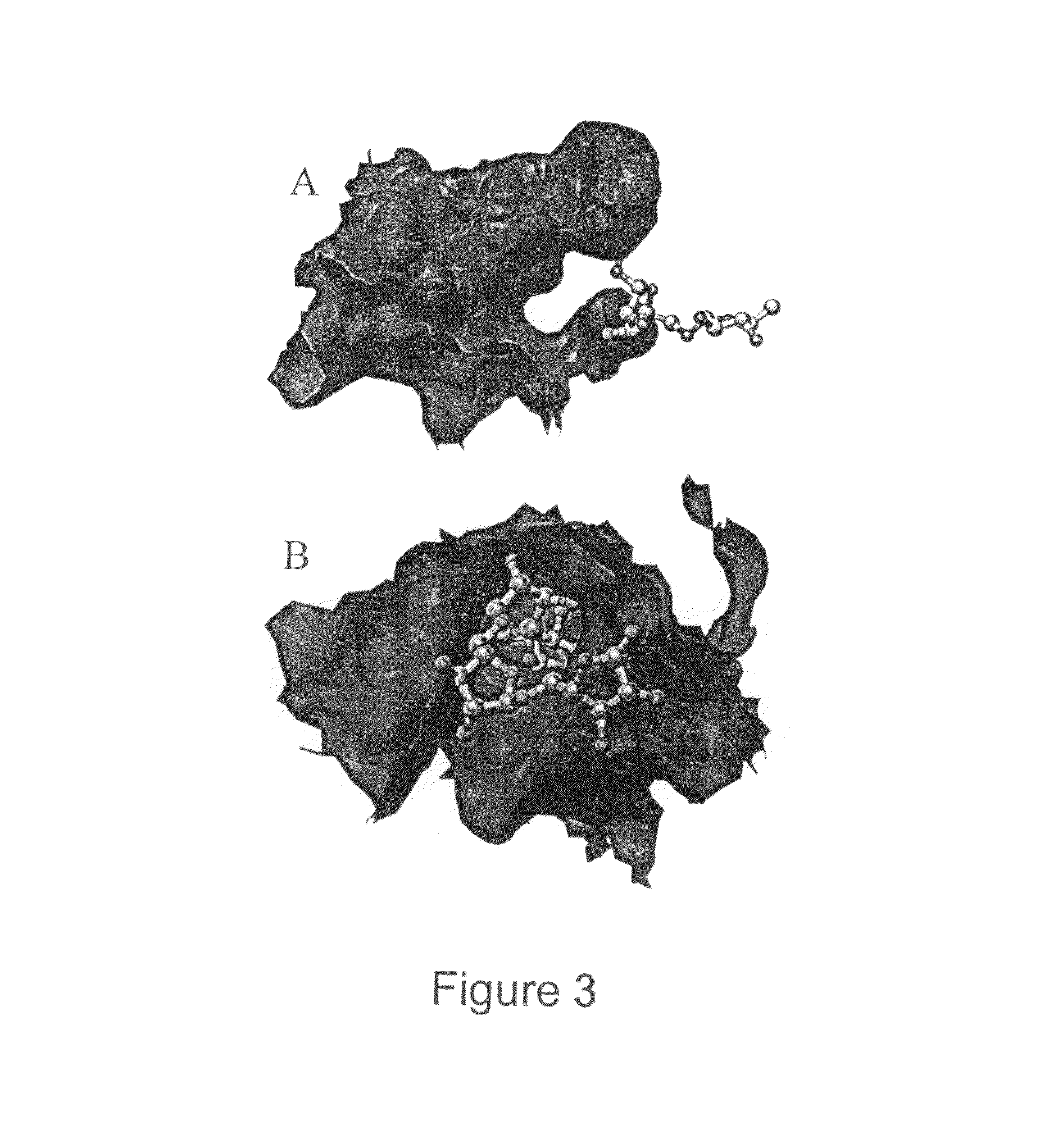 Beta-xylosidase for conversion of plant cell wall carbohydrates to simple sugars