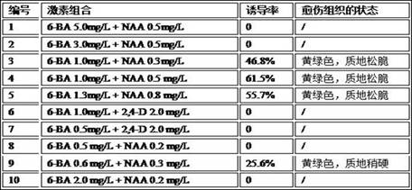 Culture method of nardostachys jatamansi callus cells