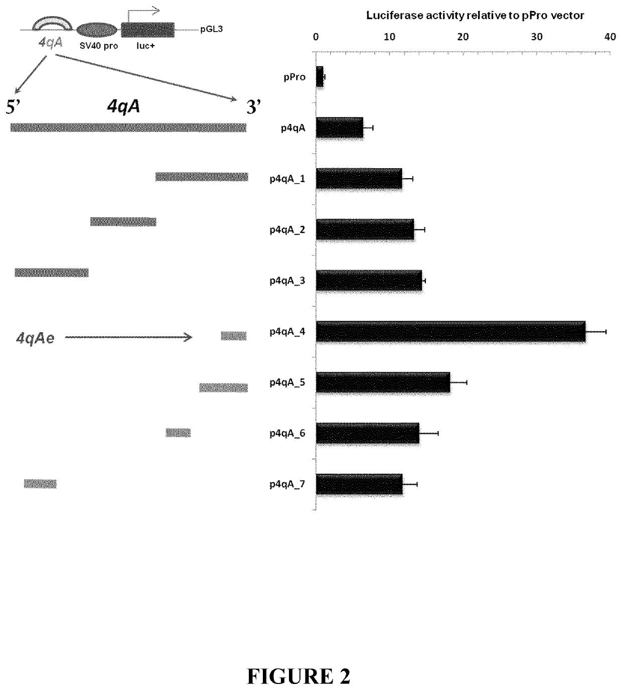 Therapeutic methods, products and compositions inhibiting ZNF555