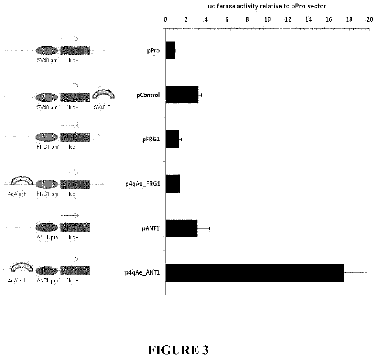 Therapeutic methods, products and compositions inhibiting ZNF555