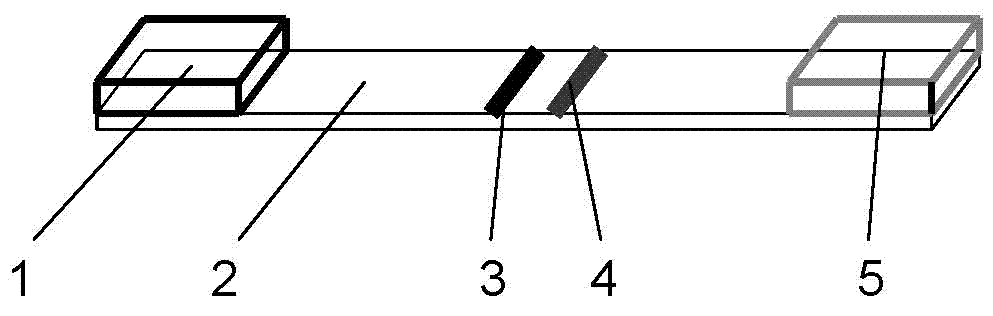 Solid fluorescent nanometer microsphere as well as preparation method and application thereof