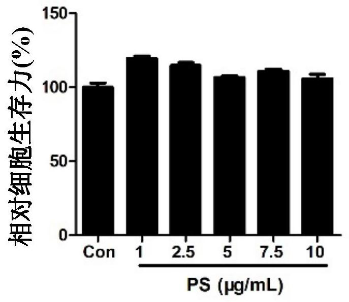 Spermine-modified pullulan as an immunopotentiator