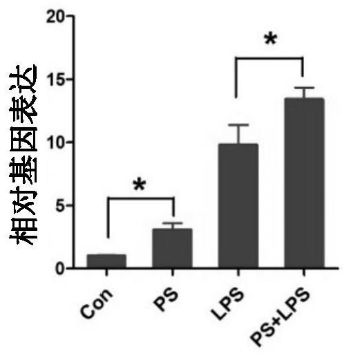 Spermine-modified pullulan as an immunopotentiator