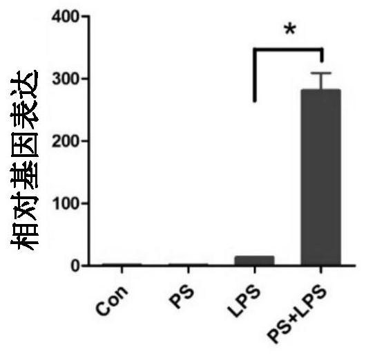 Spermine-modified pullulan as an immunopotentiator